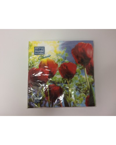Салфетка 20*20,100 л."Перышко" в коробке (18)