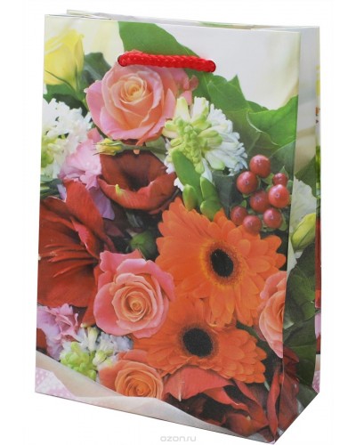 Пакет подарочный 220*310*100 ML(10)