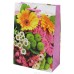 Пакет подарочный 220*310*100 ML(10)